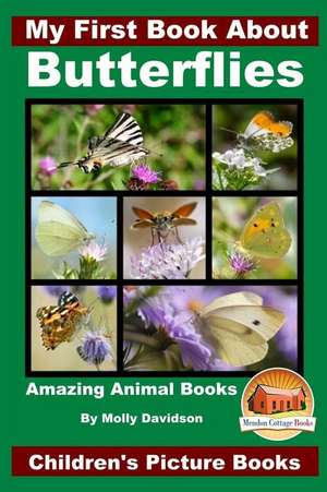 My First Book about Butterflies de Molly Davidson