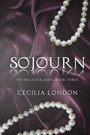 Sojourn: A Lake Superior Mystery de Cecilia London