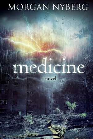 Medicine: Stories from the Old and New Testament de Morgan Nyberg