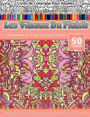 Livres de Coloriage Pour Adultes Les Vitraux Du Plaisir: Mandalas Et Figures Apaisantes Pages de Coloriage Pour Adulte de Chiquita Publishing