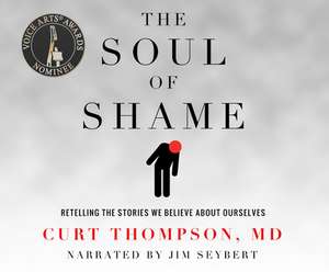 The Soul of Shame: Retelling the Stories We Believe about Ourselves de Jim Seybert