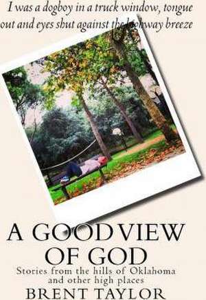 A Good View of God: Stories from the Hills of Oklahoma and Other High Places de Brent Ray Taylor