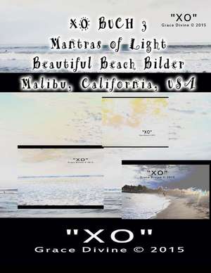 Xo Buch 3 Mantras Von Licht Beautiful Beach Bilder Malibu California USA de Grace Divine