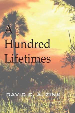 A Hundred Lifetimes de Zink, David C. a.