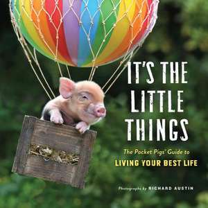 It's the Little Things de Richard Austin