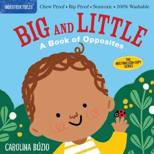 Indestructibles: Big and Little: A Book of Opposites de Amy Pixton