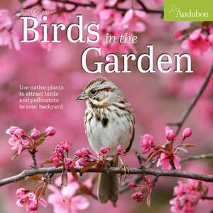 Audubon Birds in the Garden Wall Calendar 2025 de National Audubon Society