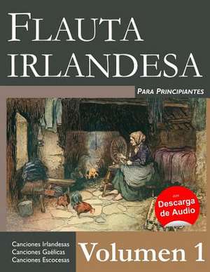 Flauta Irlandesa Para Principiantes - Volumen 1 de Stephen Ducke