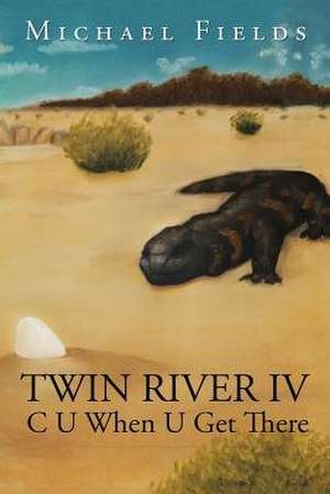 Twin River IV de Michael Fields