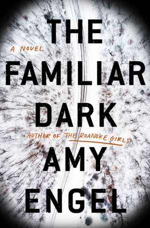 The Familiar Dark de Amy Engel