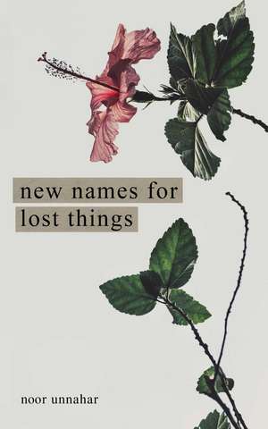 New Names for Lost Things de Noor Unnahar