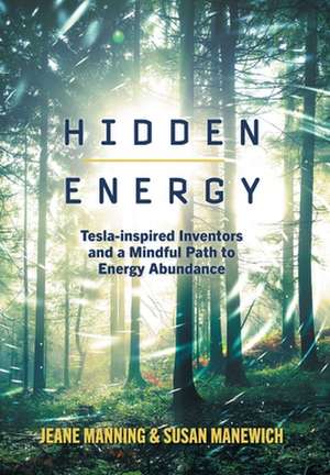Hidden Energy de Susan Manewich
