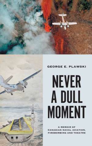 Never a Dull Moment de George E. Plawski