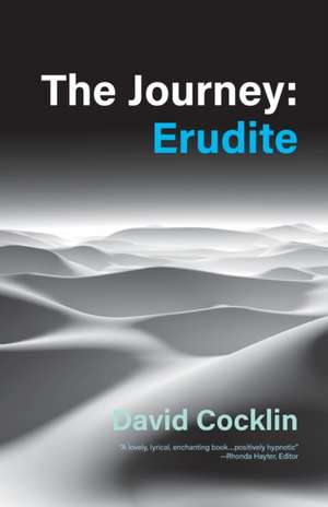 The Journey de David Cocklin
