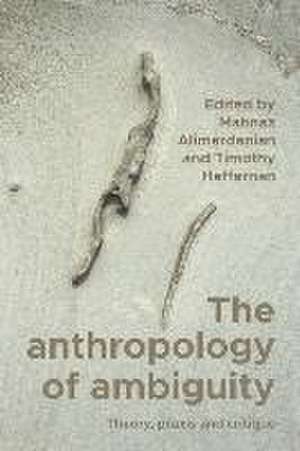 The anthropology of ambiguity de Mahnaz Alimardanian