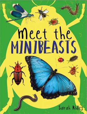 Meet the Minibeasts de Sarah Ridley