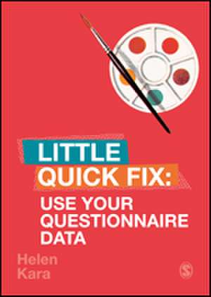 Use Your Questionnaire Data: Little Quick Fix de Helen Kara