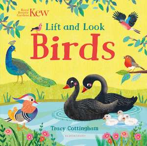 Kew: Lift and Look Birds de Tracy Cottingham