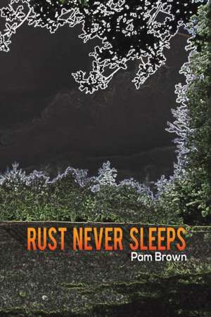 Brown, P: Rust Never Sleeps