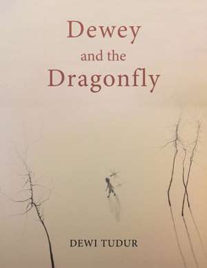 Dewey and the Dragonfly de Dewi Tudur