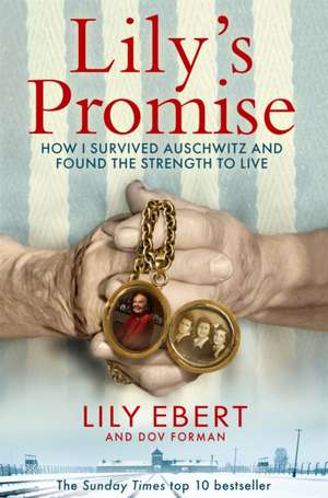 Ebert, L: Lily's Promise