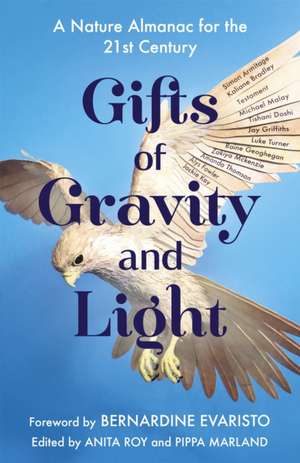 Gifts of Gravity and Light de Anita Roy