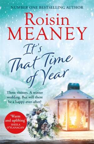 It's That Time of Year de Roisin Meaney