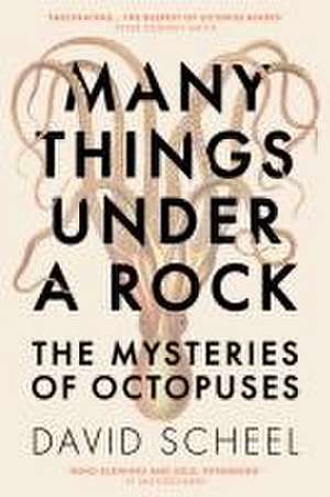 Many Things Under a Rock de David Scheel