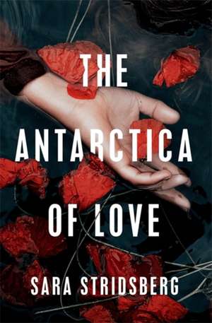 The Antarctica of Love de Sara Stridsberg