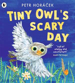 Tiny Owl's Scary Day de Petr Horacek