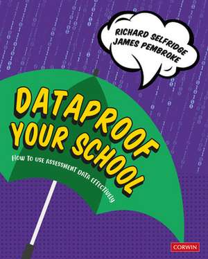 Dataproof Your School: How to use assessment data effectively de Richard Selfridge