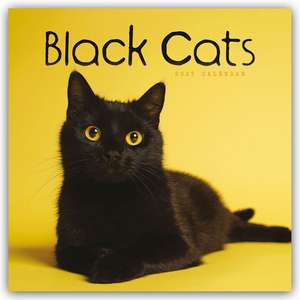 Black Cats - Schwarze Katzen 2025 - Wand-Kalender de Carousel Calendar