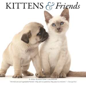 Kittens & Friends