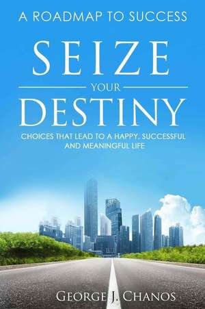 Seize Your Destiny de George J. Chanos