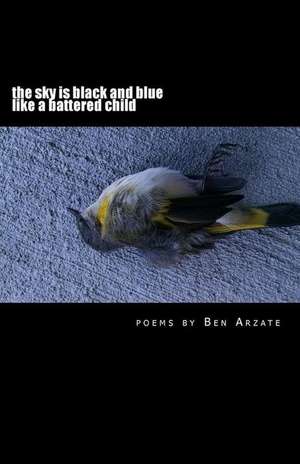 The Sky Is Black and Blue Like a Battered Child de Ben Arzate