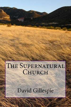 The Supernatural Church de MR David M. Gillespie