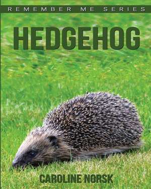 Hedgehog de Caroline Norsk