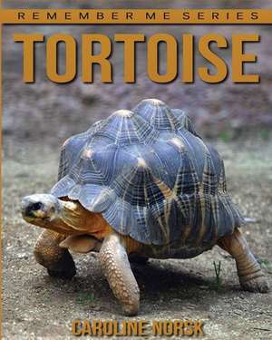 Tortoise de Caroline Norsk