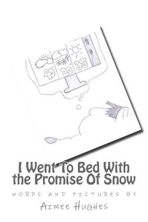 I Went to Bed with the Promise of Snow de Aimee Hughes