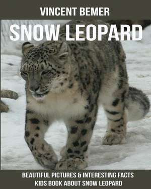 Snow Leopard de Vincent Bemer