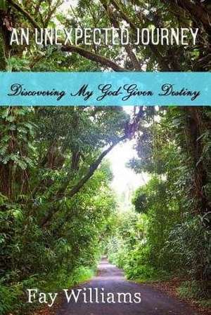 An Unexpected Journey de Fay Williams