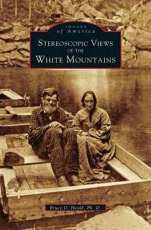 Stereoscopic View of the White Mountains de Bruce D. Heald