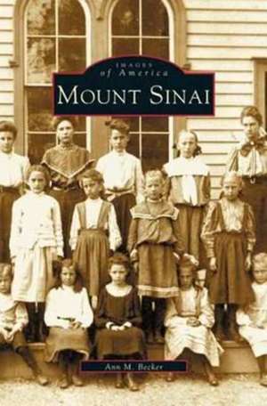 Mount Sinai de Ann M. Becker