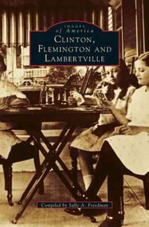 Clinton, Flemington & Lambertville de Sally Freedman