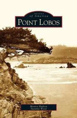 Point Lobos de Monica Hudson