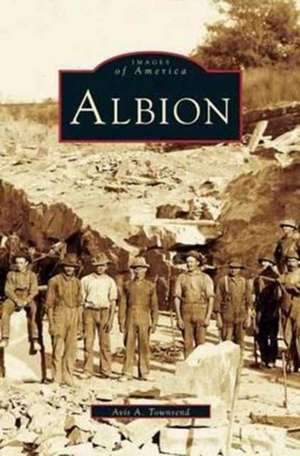 Albion de Avis Townsend