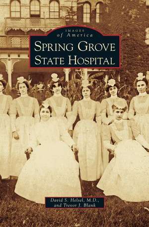 Spring Grove State Hospital de David S. Helsel