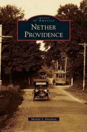 Nether Providence de Michele S. Davidson