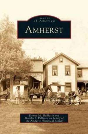 Amherst de Donna M. Deblasio