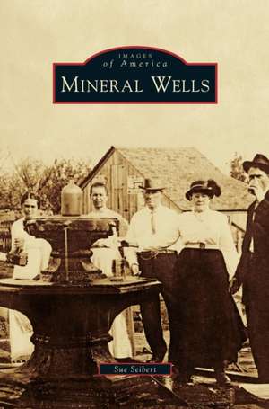 Mineral Wells de Sue Seibert